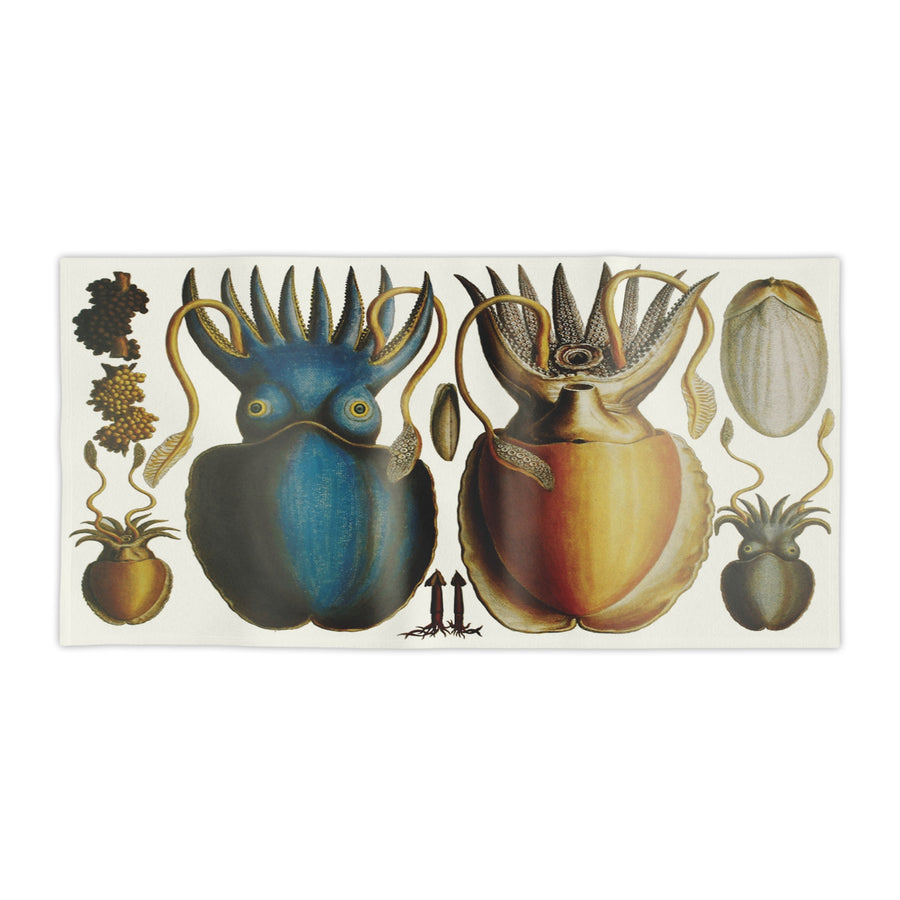 Octopus & Squid Beach Towel – Vintage 1734 Art by Albertus Seba