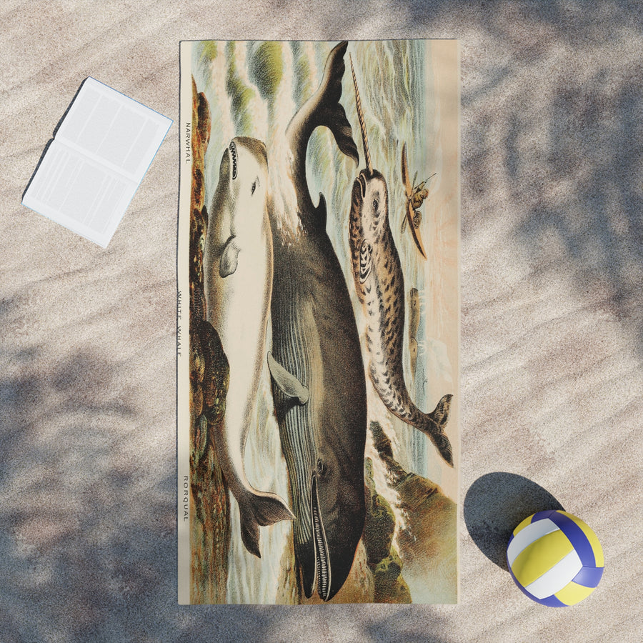 Narwhal, Beluga & Bowhead Whale Beach Towel – Vintage Arctic Whale Illustration