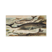 Narwhal, Beluga & Bowhead Whale Beach Towel – Vintage Arctic Whale Illustration