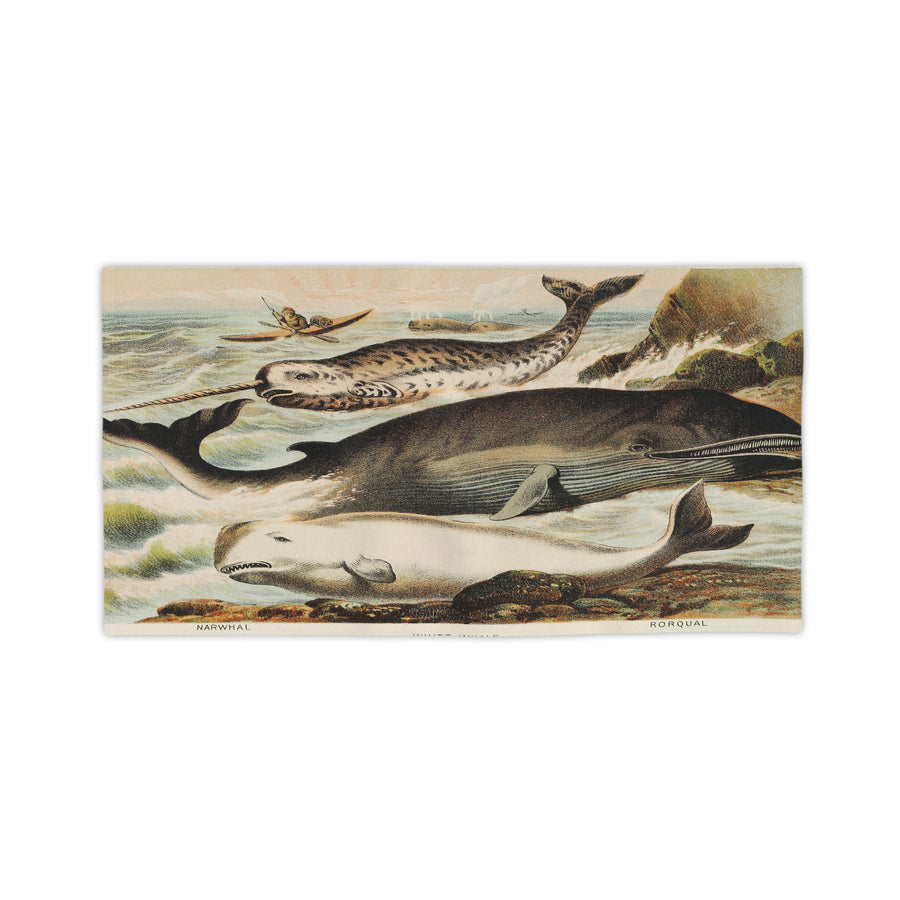 Narwhal, Beluga & Bowhead Whale Beach Towel – Vintage Arctic Whale Illustration