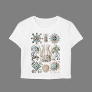 Cnidarians drawn by Haeckel on a WHITE Baby Tee T-Shirt