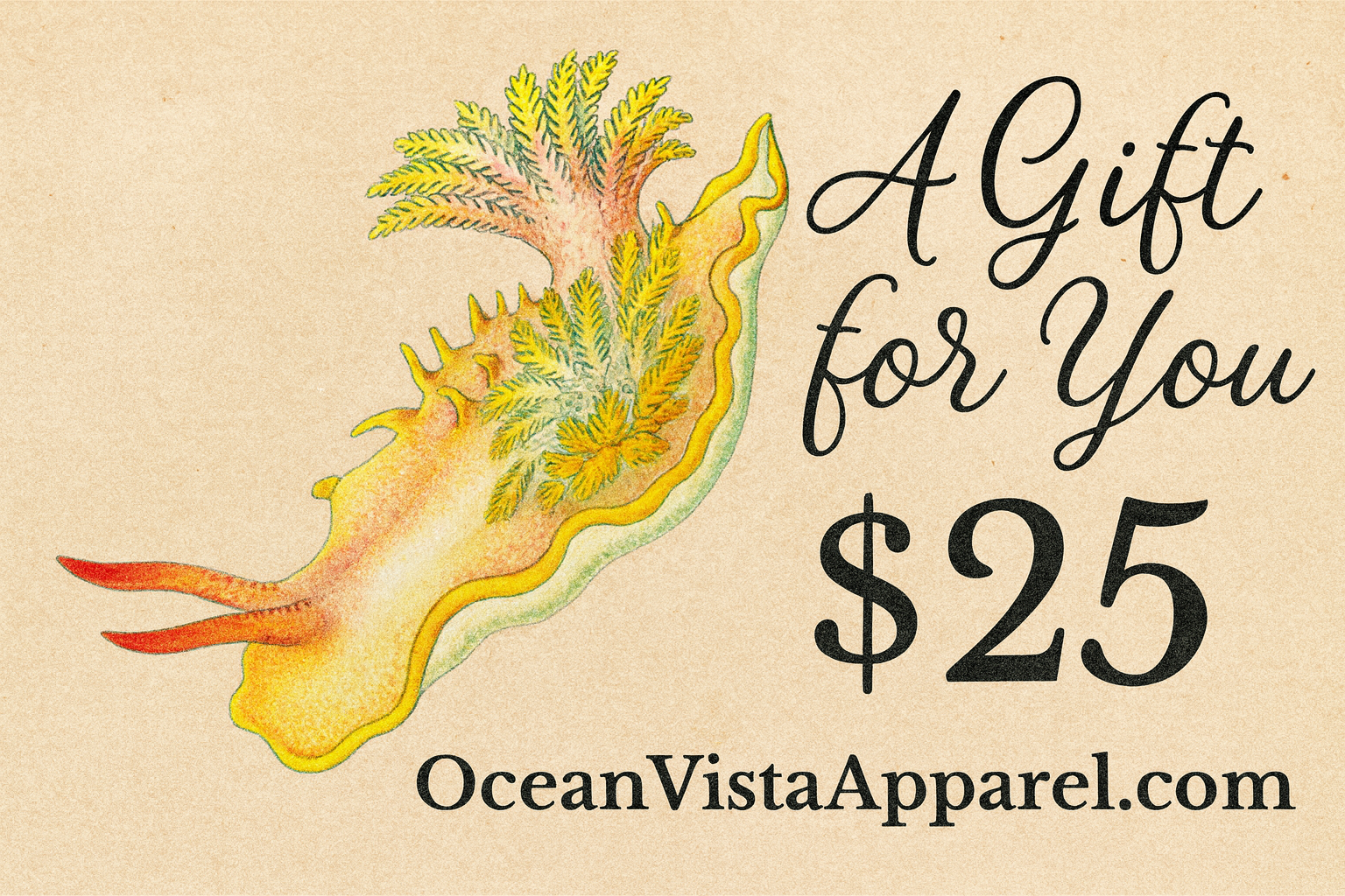 Ocean Vista Apparel Gift Cards
