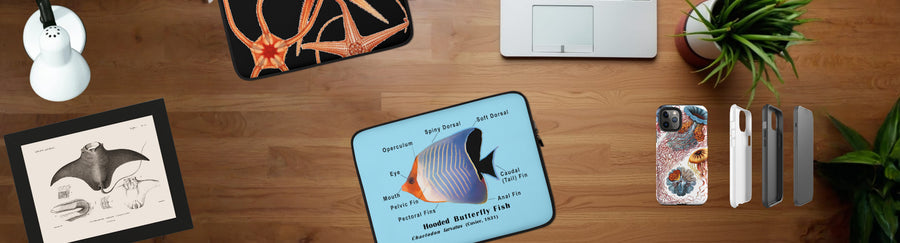 Ocean Vista Apparel Gift Cards