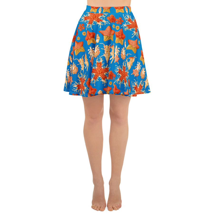Asteridea Starfish Skater Skirt – Ernst Haeckel Sea Star Print, Ocean Taxonomy Art, Marine Science Gift