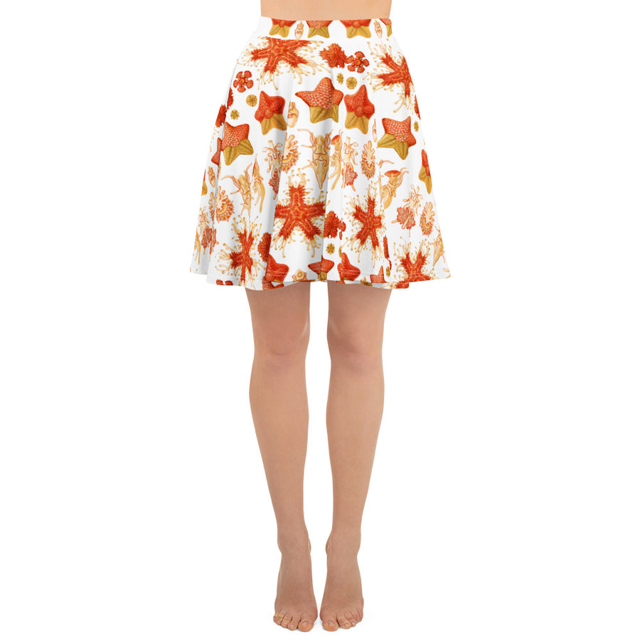 Asteridea Starfish Skater Skirt – Ernst Haeckel Sea Star Print, Ocean Taxonomy Art, Marine Science Gift