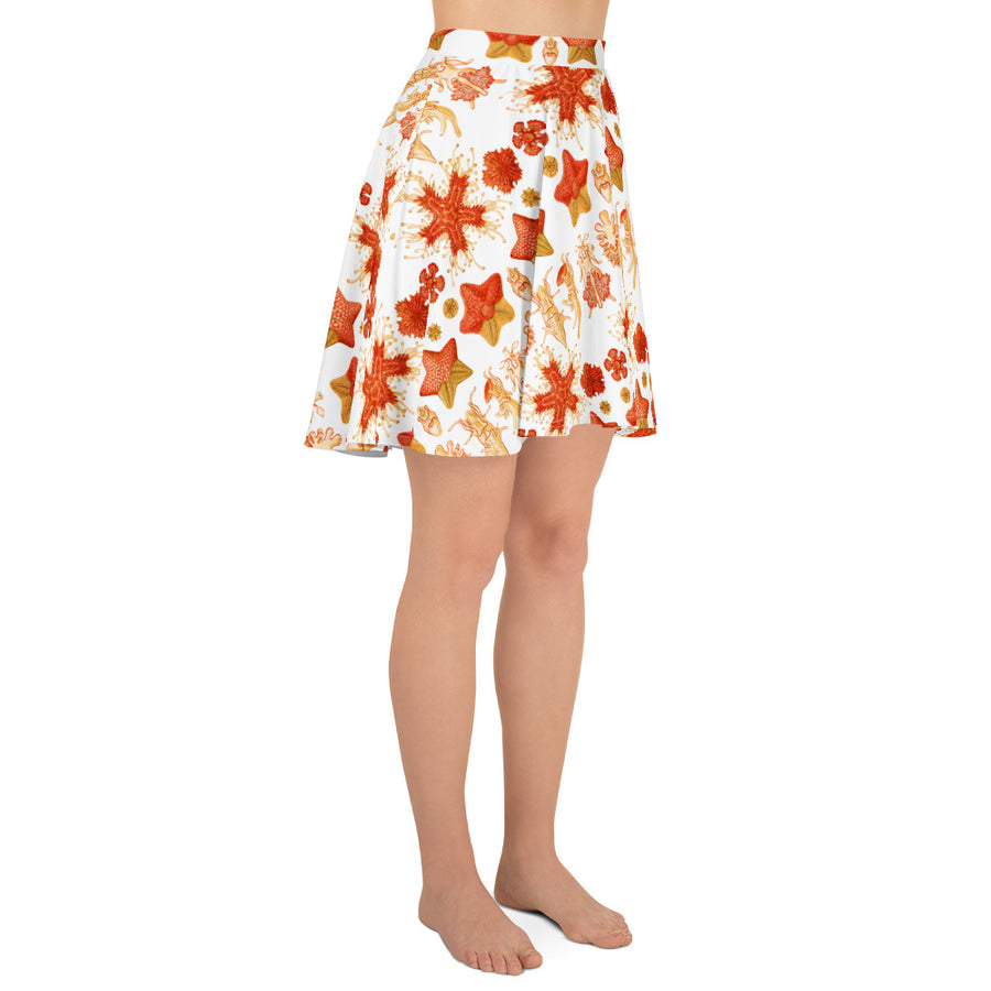 Asteridea Starfish Skater Skirt – Ernst Haeckel Sea Star Print, Ocean Taxonomy Art, Marine Science Gift