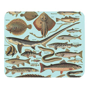 Ocean Fishes Taxonomy Mouse pad