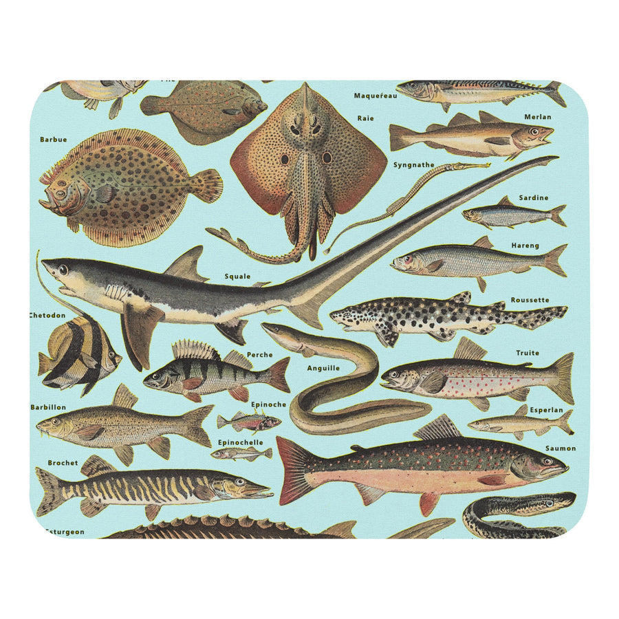 Ocean Fishes Taxonomy Mouse pad
