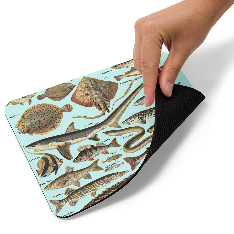 Ocean Fishes Taxonomy Mouse pad
