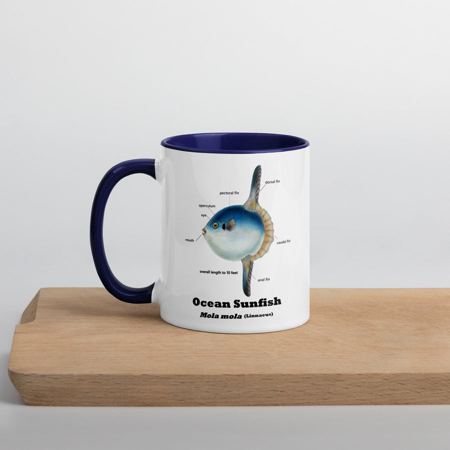 Mola Mola Mug with Color Inside
