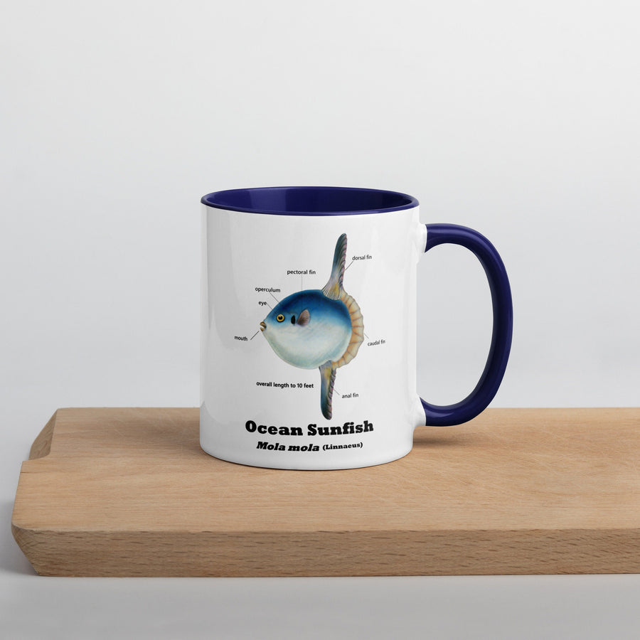 Mola Mola Mug with Color Inside