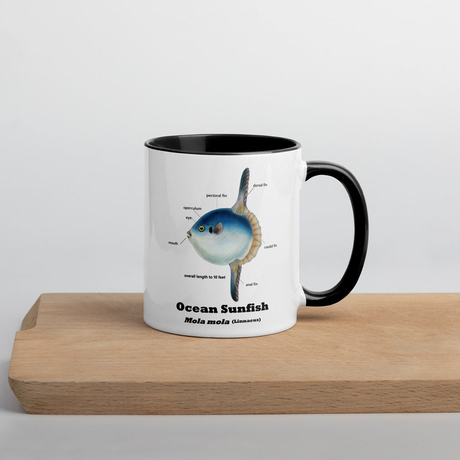 Mola Mola Mug with Color Inside