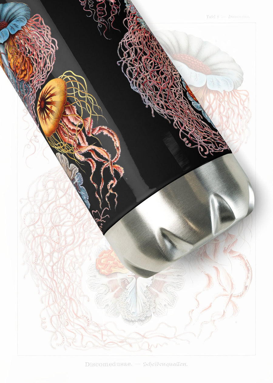 Vintage Jellyfish by Haeckel on a 17 ounce Stainless steel water bottle