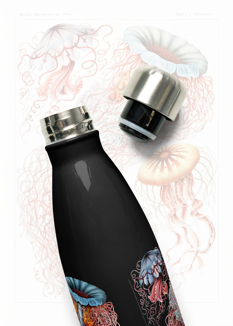 Vintage Jellyfish by Haeckel on a 17 ounce Stainless steel water bottle
