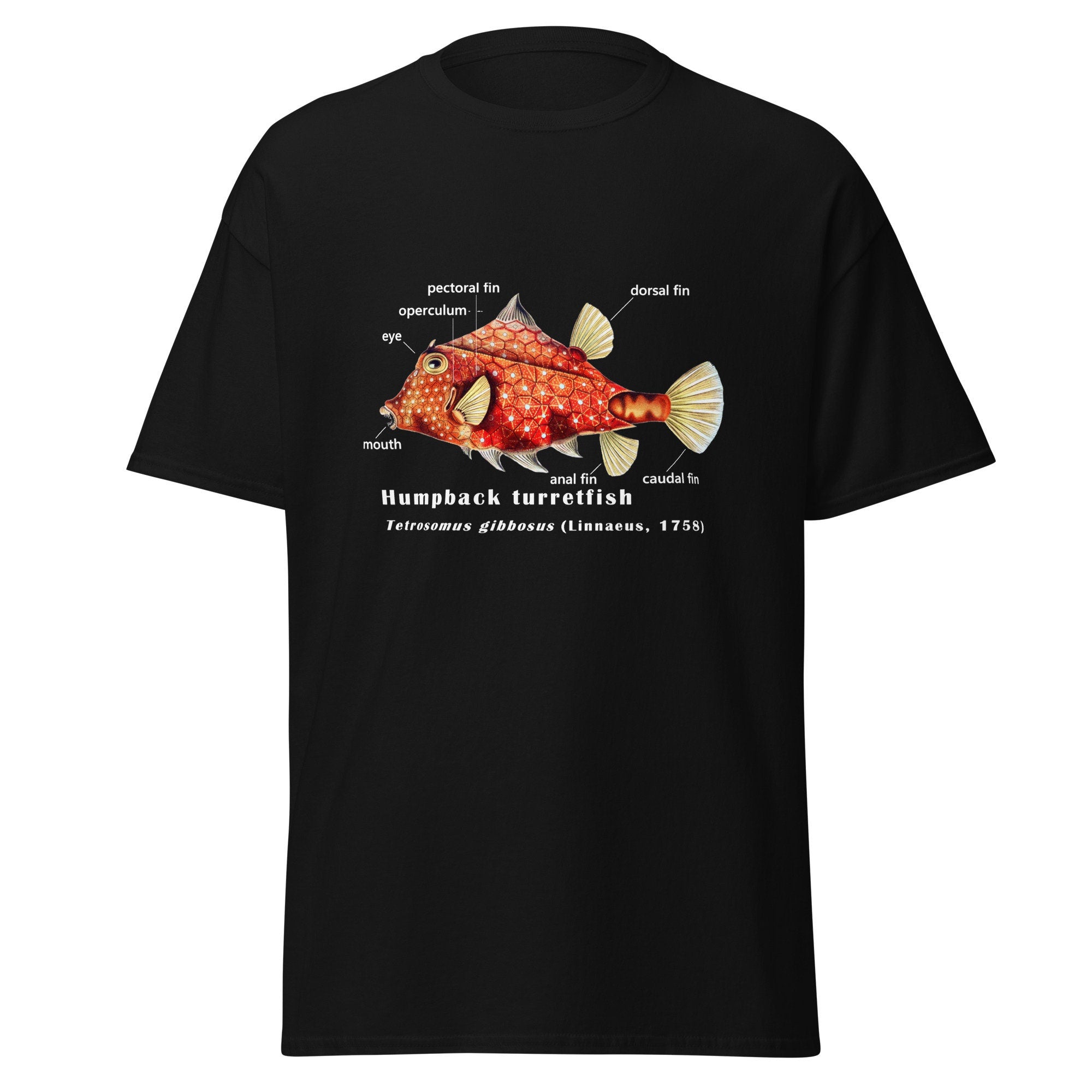Men&#39;s classic tee