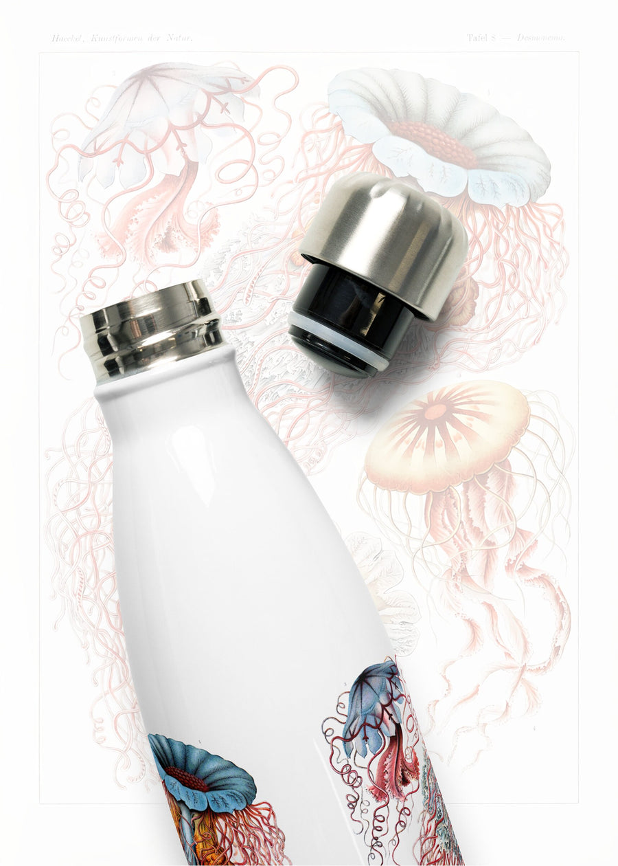 Vintage Jellyfish by Haeckel on a 17 ounce Stainless steel water bottle