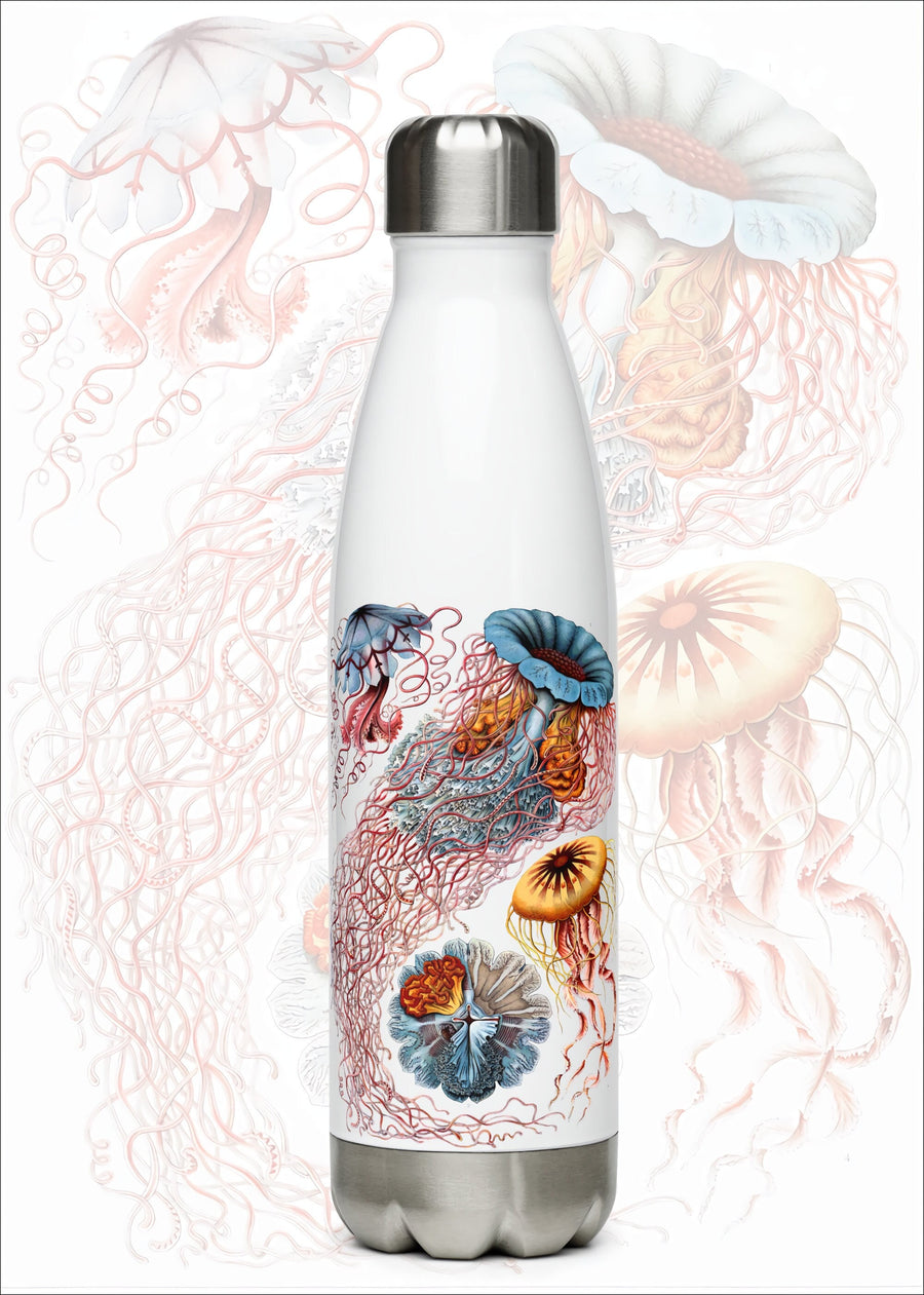 Vintage Jellyfish by Haeckel on a 17 ounce Stainless steel water bottle
