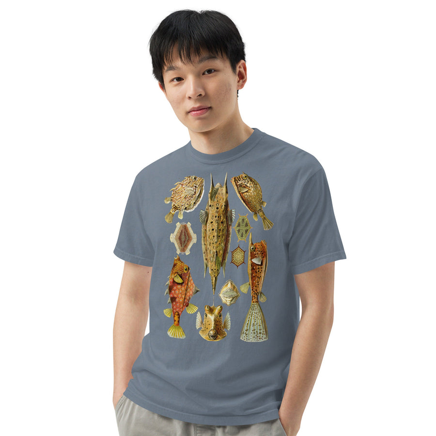 Comfort Colors Cowfish, Ostraciontes, garment-dyed t-shirt, Marine Biologist T Shirt, Divers gift