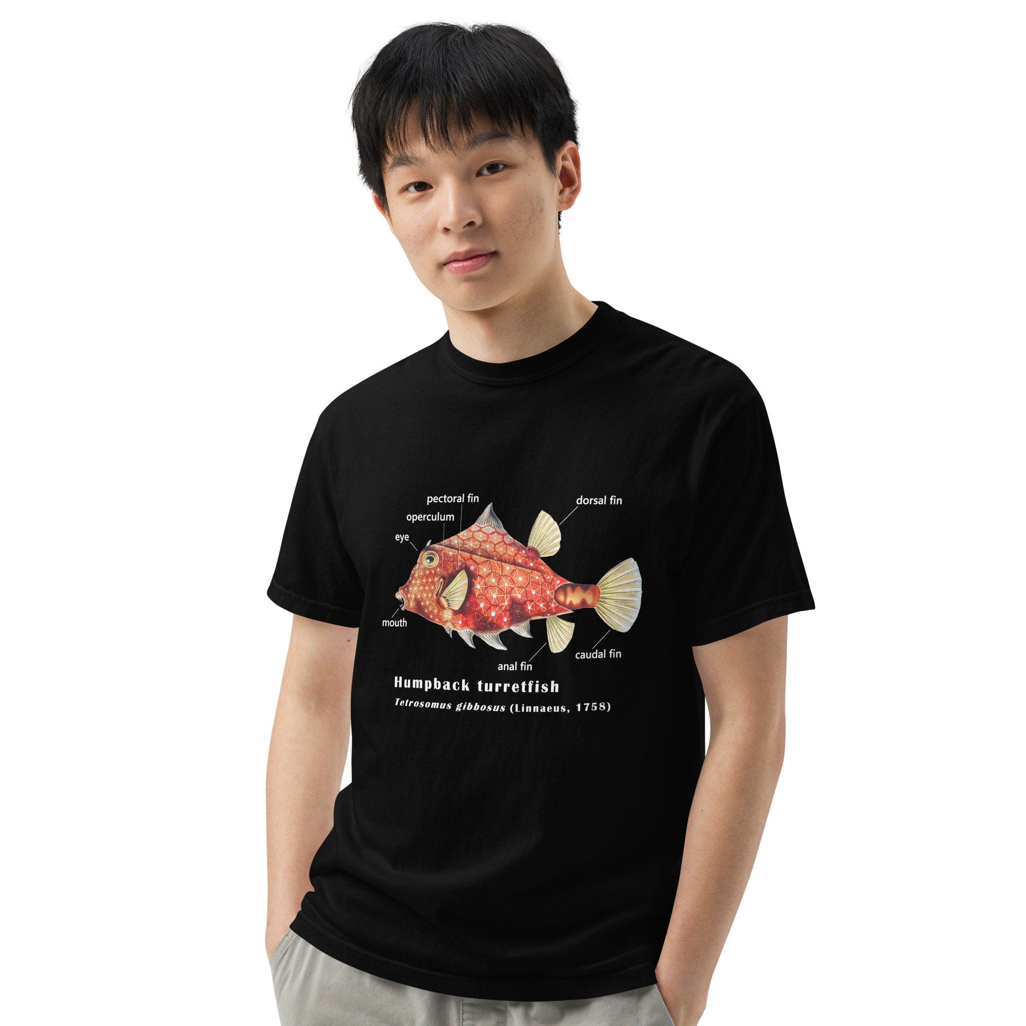 Camel Cowfish with Taxonomic Notations, Garment-dyed t-shirt, Marine Biology Tee Shirt, Gift for sea-life lovers