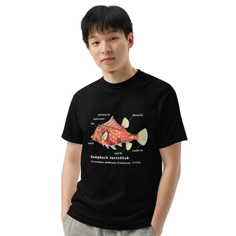Camel Cowfish with Taxonomic Notations, Garment-dyed t-shirt, Marine Biology Tee Shirt, Gift for sea-life lovers