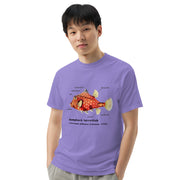 Camel Cowfish with Taxonomic Notations, Garment-dyed t-shirt, Marine Biology Tee Shirt, Gift for sea-life lovers