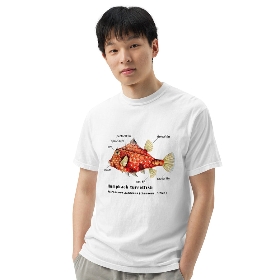 Camel Cowfish with Taxonomic Notations, Garment-dyed t-shirt, Marine Biology Tee Shirt, Gift for sea-life lovers