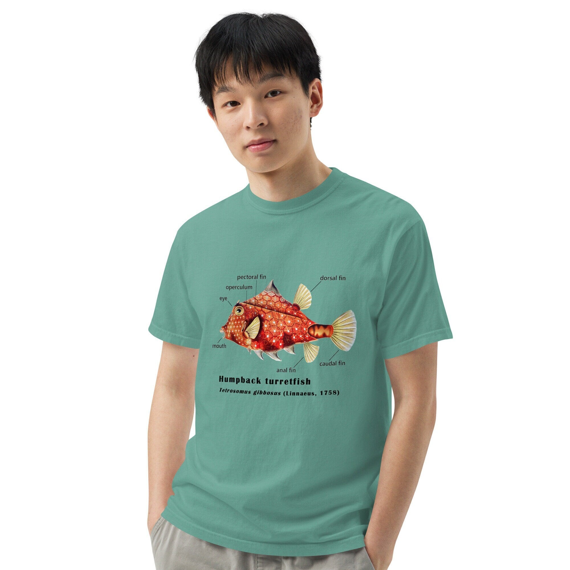 Camel Cowfish with Taxonomic Notations, Garment-dyed t-shirt, Marine Biology Tee Shirt, Gift for sea-life lovers