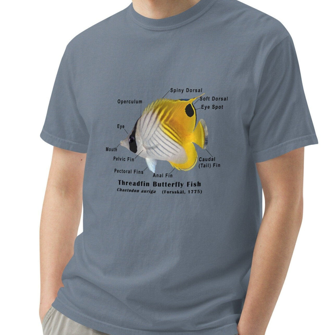Threadfin Butterfly with Taxonomic Notations, Garment-dyed t-shirt, Marine Biology Tee Shirt, Gift for sea-life lovers