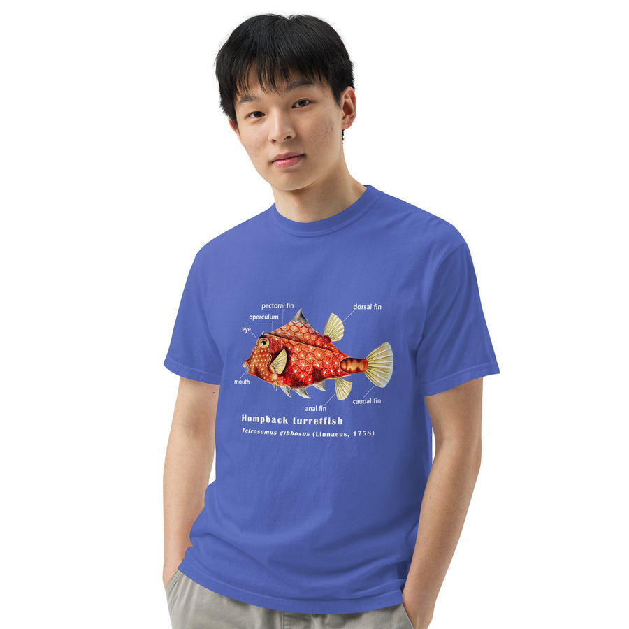 Camel Cowfish with Taxonomic Notations, Garment-dyed t-shirt, Marine Biology Tee Shirt, Gift for sea-life lovers