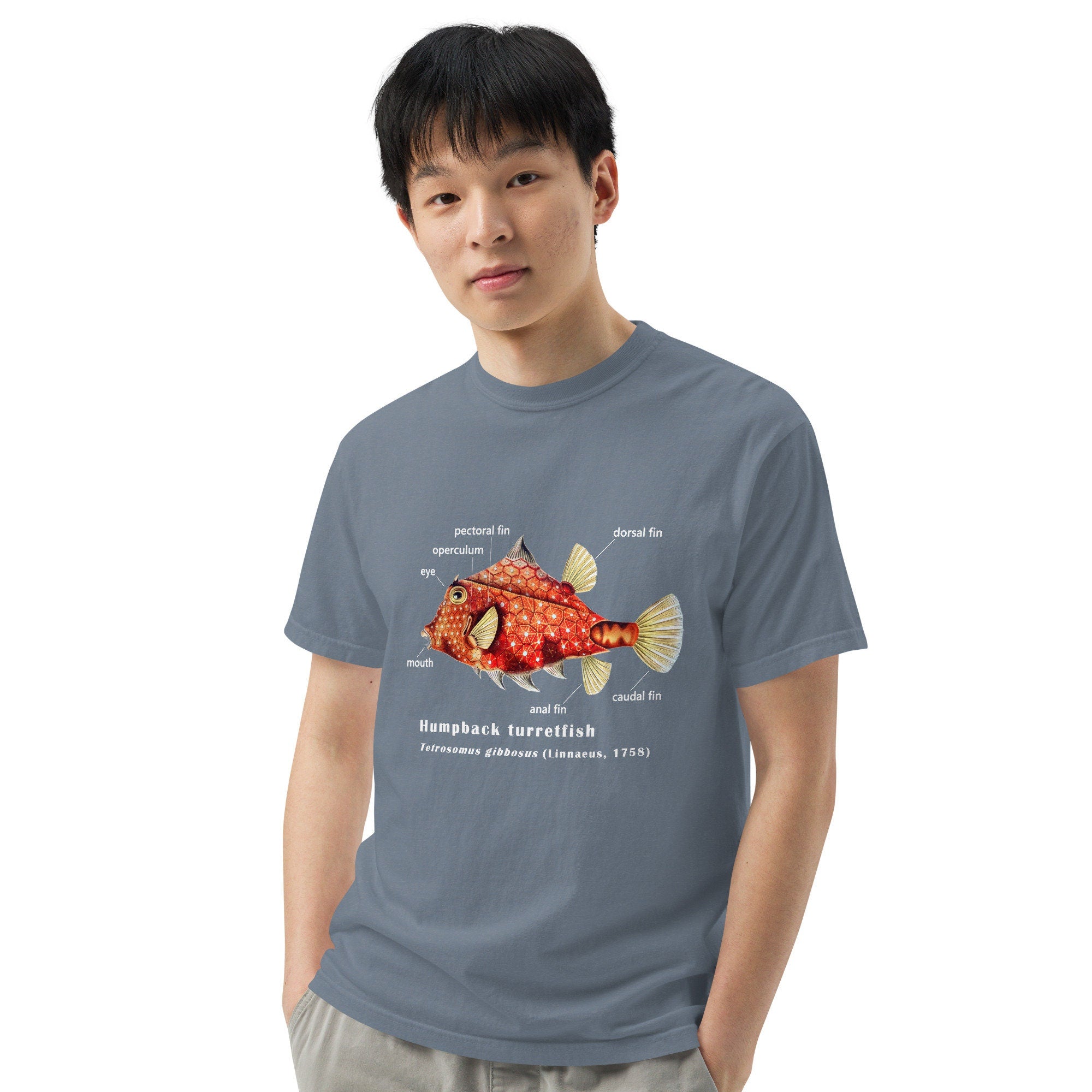 Camel Cowfish with Taxonomic Notations, Garment-dyed t-shirt, Marine Biology Tee Shirt, Gift for sea-life lovers