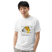 Threadfin Butterfly with Taxonomic Notations, Garment-dyed t-shirt, Marine Biology Tee Shirt, Gift for sea-life lovers