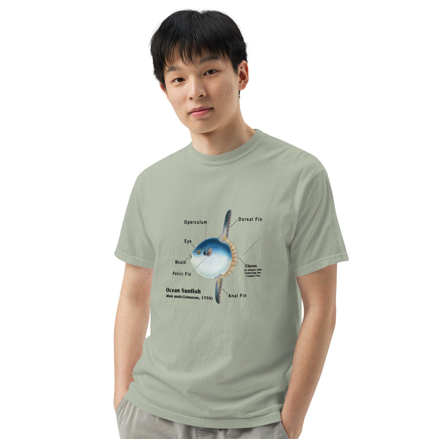 Ocean Sunfish T-Shirt with Taxonomic Notations, Mola Mola, Garment-dyed t-shirt, Marine Biology Tee Shirt, Gift for sea-life lovers