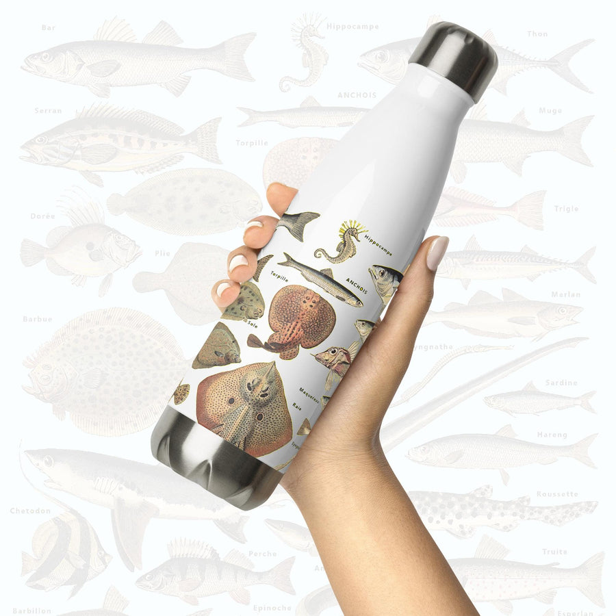 Ocean Fishes on a 17 ounce Stainless Steel Reusable Water Bottle. Gift for Him or gift for Her. Vintage "Poissons I" by Adolphe Millot