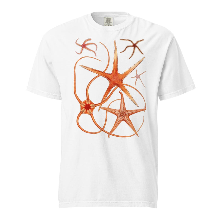 Comfort Colors Starfish, Asteroidea, garment-dyed t-shirt, Marine Biologist T Shirt, Divers gift
