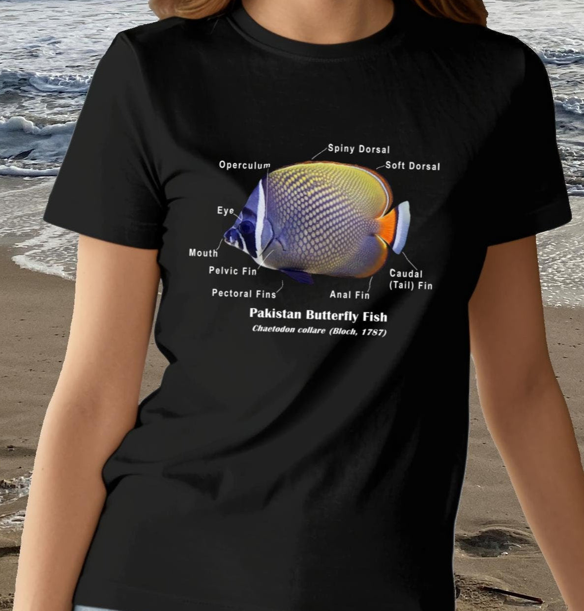 Pakistan Butterflyfish with scientific name and anatomical parts labeled. All on a Comfort Colors T0SHirt in one of8 colors.