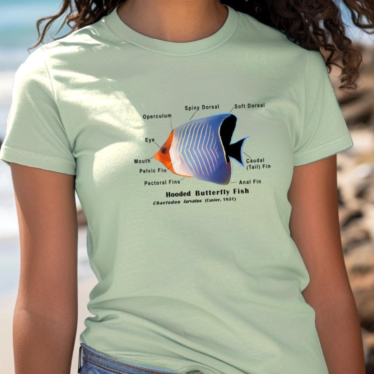 Red Hooded or Red Sea Butterflyfish with scientific name and anatomical labels on a Comfort Colors T-Shirt in 1 of 8 colors.