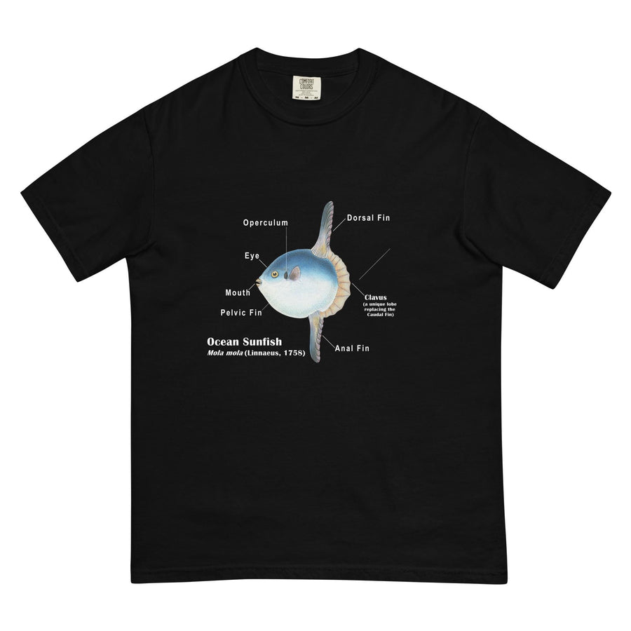 Ocean Sunfish T-Shirt with Taxonomic Notations, Mola Mola, Garment-dyed t-shirt, Marine Biology Tee Shirt, Gift for sea-life lovers