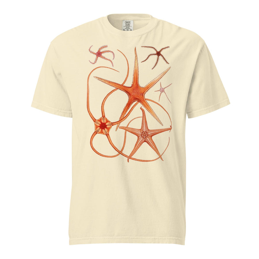 Comfort Colors Starfish, Asteroidea, garment-dyed t-shirt, Marine Biologist T Shirt, Divers gift