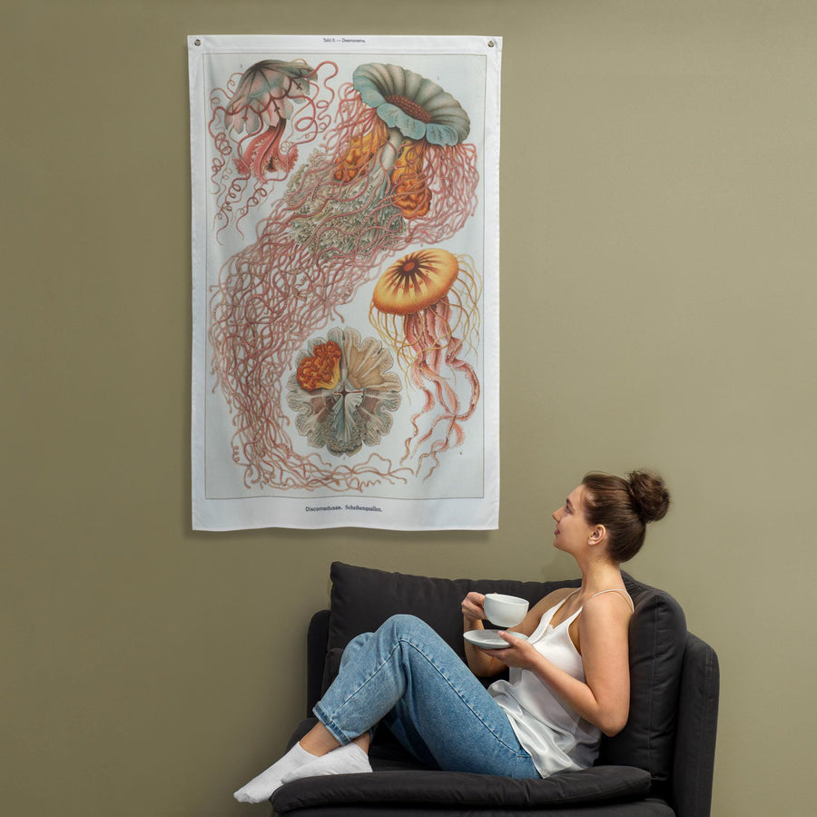 Vintage Jellyfish Haeckel Discomedusae Jellies Flag