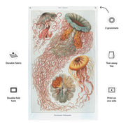 Vintage Jellyfish Haeckel Discomedusae Jellies Flag