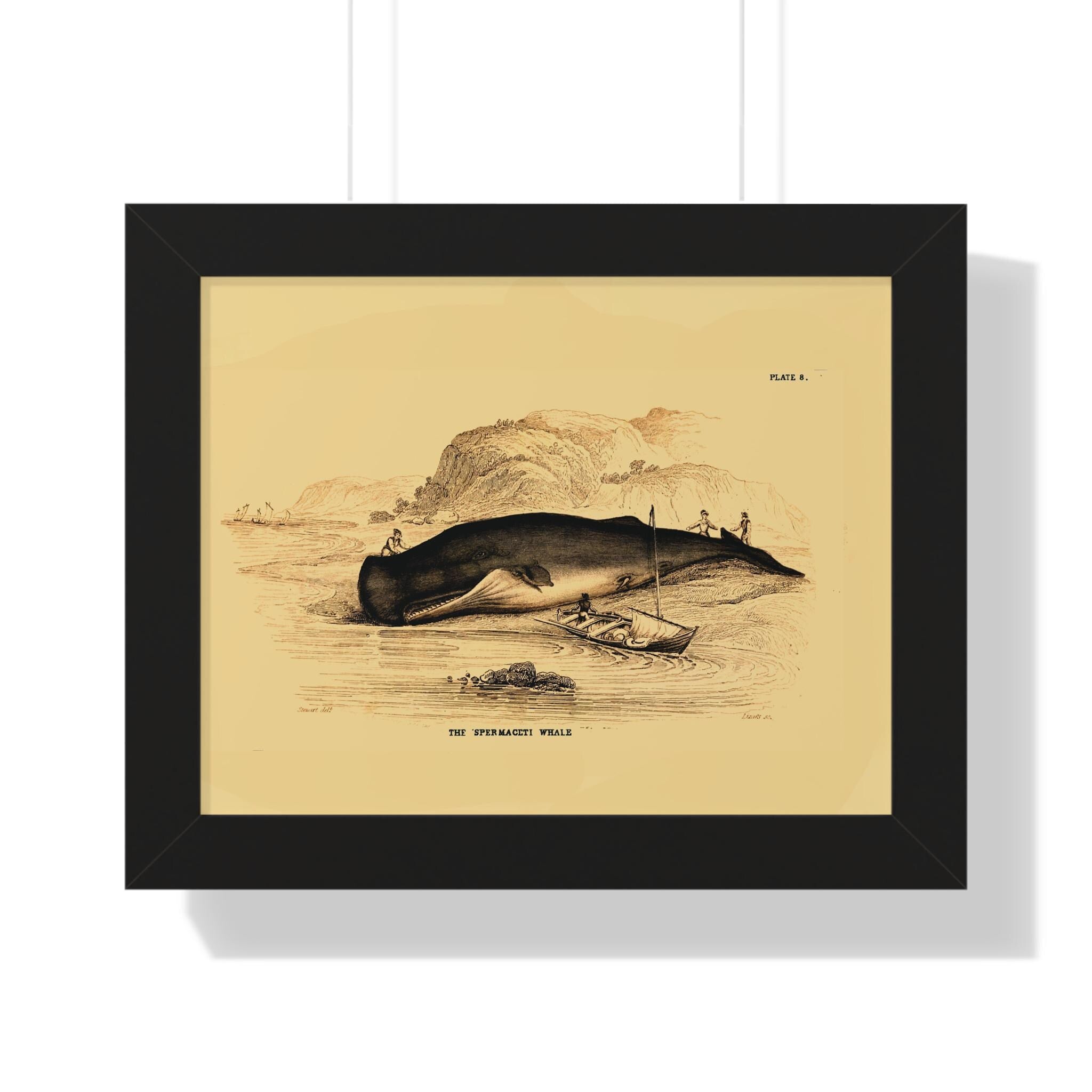 The Sperm Whale by Frederick Cuvier Framed Vertical Poster