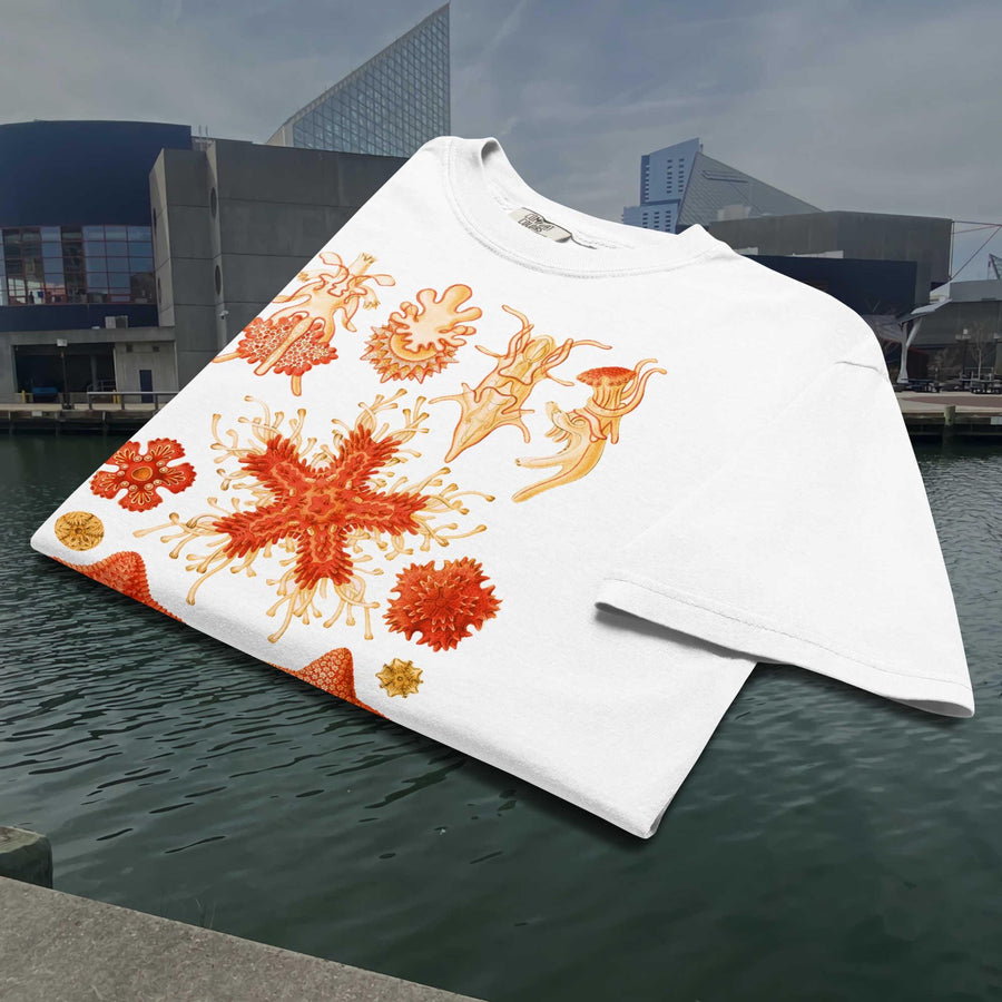 Asteridea Starfish T-Shirt, Ernst Haeckel Sea Star Art, Restored Vintage Marine Biology Print, Comfort Colors 1717 Shirt, Ocean Lover Gift
