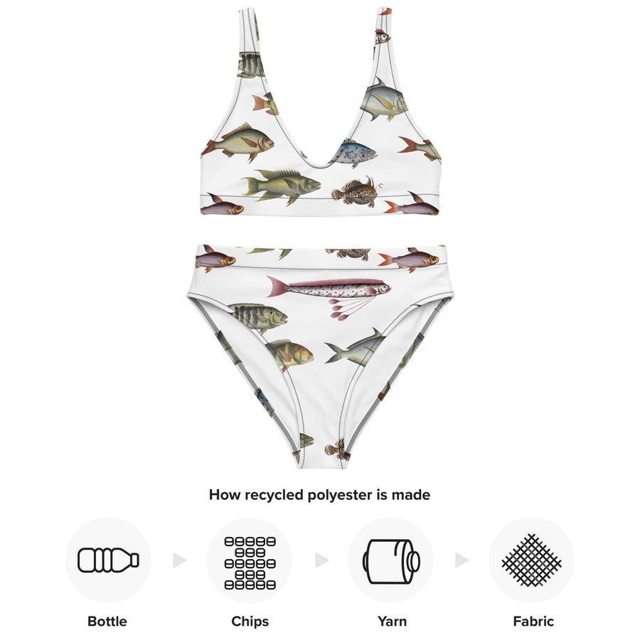 Vintage Fish Recycled Bikini, All-Over Print High-Waisted Swim Set, Bloch Ichthyology Art, Eco-Friendly UPF 50+ Swimwear
