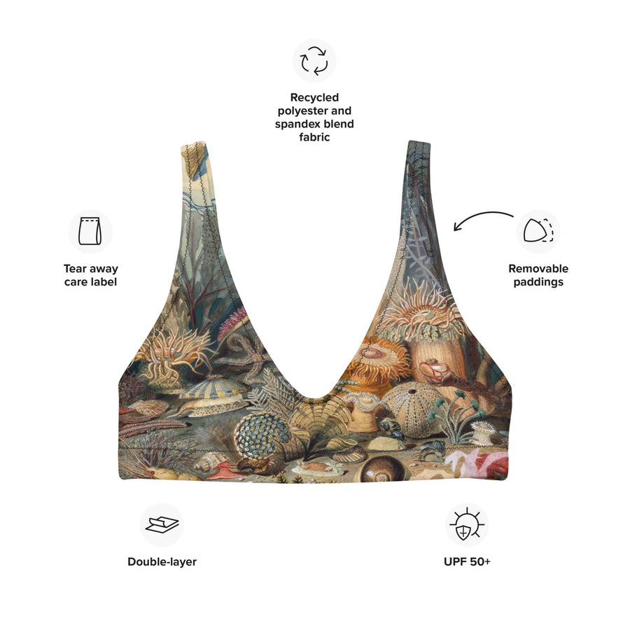 Ocean Life Recycled Bikini Top | James M. Sommerville 1859 Submarine Art | Vintage Marine Watercolor | Eco-Friendly Padded Swimwear