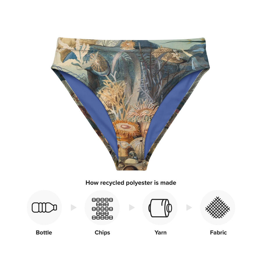 Ocean Life High-Waisted Bikini Bottoms | James M. Sommerville 1859 Art | Vintage Submarine Illustration | Recycled Eco-Friendly Swimwear