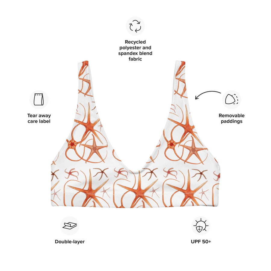 Asteroidea Starfish Bikini Top | Recycled Padded Swimwear with Vintage Albert I Illustration | Eco-Friendly Marine Life Pattern