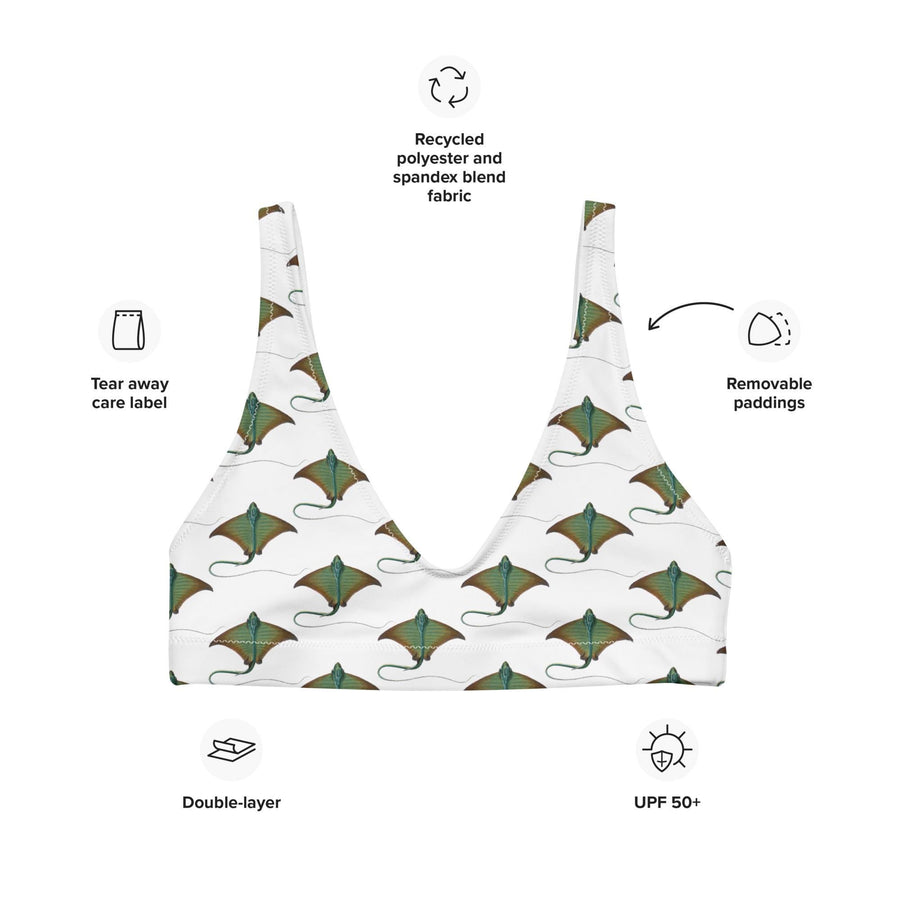 Stingray Bikini Top | Recycled Padded Swimwear with Vintage Adolphe Millot Art | Eco-Friendly Ocean Life Pattern