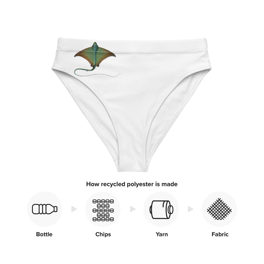 Stingray High-Waisted Bikini Bottoms | Vintage Adolphe Millot Sea Life Art | Eco-Friendly Recycled Swimwear | Ocean-Inspired Design
