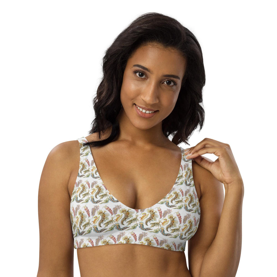 Nudibranchia Bikini Top | Recycled Padded Swimwear Featuring Ernst Haeckel&#39;s Sea Slugs | Eco-Friendly Vintage Ocean Pattern