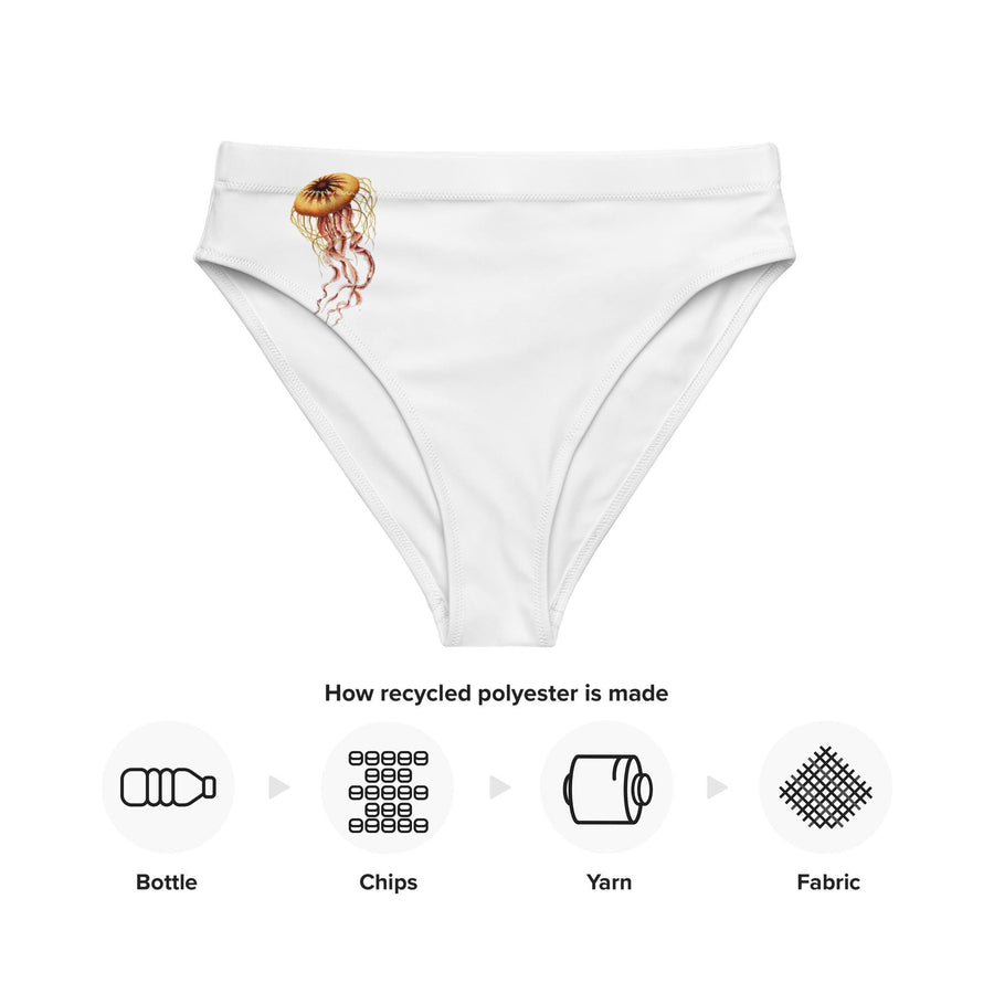 Minimalist Jellyfish Bikini Bottoms, Chrysaora mediterranea, Ernst Haeckel, Recycled High-Waisted Swimwear, Eco-Friendly Ocean-Inspired